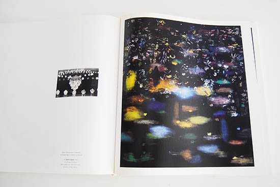 ROSS BLECKNER Monograph Guggenheim Museum ロス・ブレックナー 作品集 - 古本買取 2手舎/二手舎  nitesha 写真集 アートブック 美術書 建築