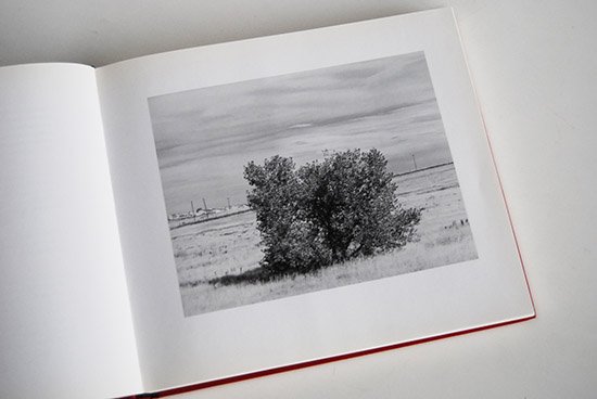 Robert Adams WHAT WE BOUGHT: THE NEW WORLD ロバート・アダムス 写真集 - 古本買取 2手舎/二手舎  nitesha 写真集 アートブック 美術書 建築