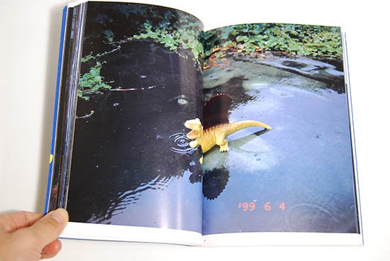 私日記・世紀末 荒木経惟写真全集 9 Private Diary 1999 The Works of