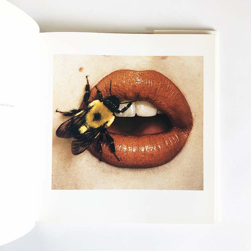 STILL LIFE Irving Penn photographs 1938-2000アーヴィング・ペン - 古本買取 2手舎/二手舎  nitesha 写真集 アートブック 美術書 建築