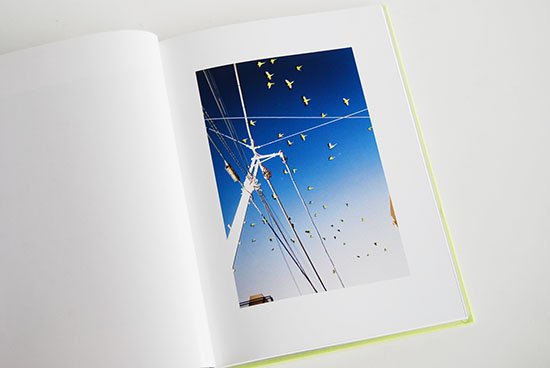 TOKYO PARROTS Yoshinori Mizutani 水谷吉法 写真集 - 古本買取 2手舎