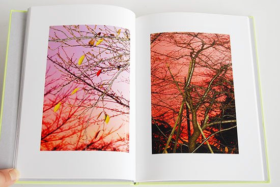 希少本 水谷吉法 写真集 COLORS YOSHINORI MIZUTANI - アート