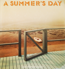 A SUMMER'S DAY Joel Meyerowitz 票롦ޥå ̿