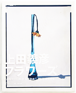 フラワーズ 上田義彦 写真集 YOSHIHIKO UEDA: FLOWERS - 古本 フラワーズ 上田義彦 写真集 YOSHIHIKO UEDA: FLOWERS - 古本