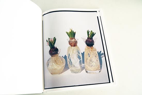 フラワーズ 上田義彦 写真集 YOSHIHIKO UEDA: FLOWERS - 古本
