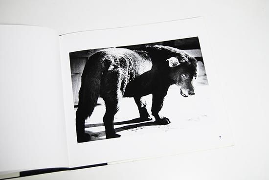 MORIYAMA Daido 1970-1979 森山大道 写真集 - 古本買取 2手舎/二手舎