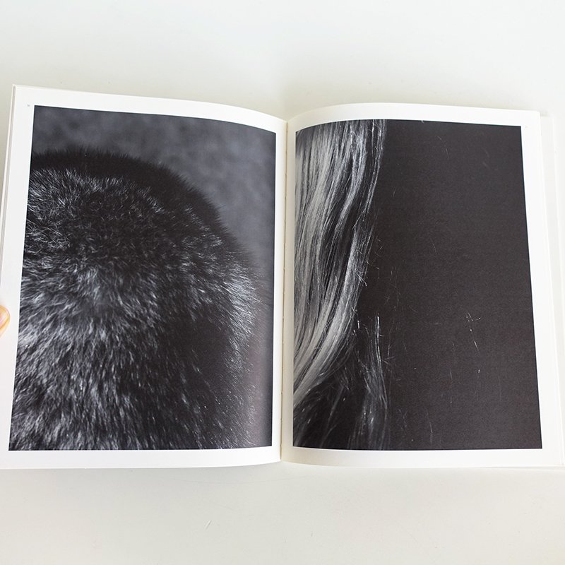 ppaper SPECIAL 03 DESIGNED AND EDITED BY HEDI SLIMANE Collectors Edition -  古本買取 2手舎/二手舎 nitesha 写真集 アートブック 美術書 建築