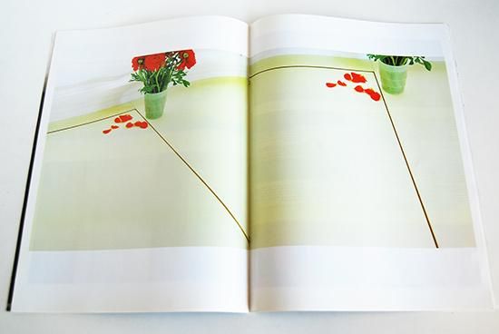 アート・デザイン・音楽 ANP QUARTERLY Issue No.9 2007 ANP QUARTERLY Issue No.9 2007 Ed Templeton, Aaron Rose