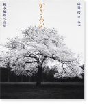  ۱[ݯ] ͺ ̿ KAGIROHI-SAKURA KYO TAYU Toshio Enomoto̾ signed