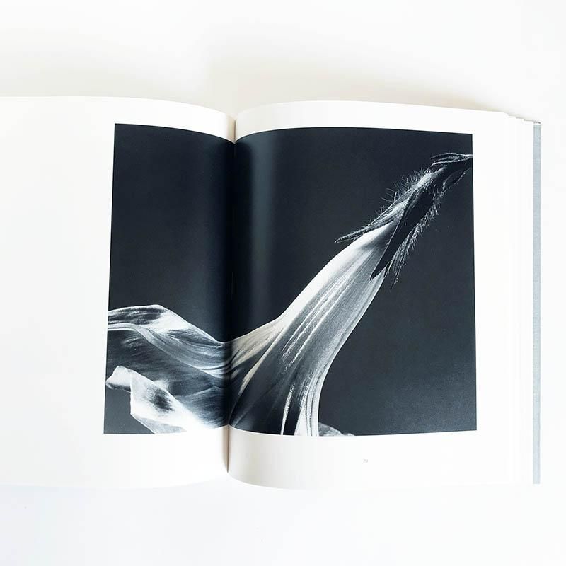 HANA by Yasuhiro Ishimoto花 石元泰博 写真集 - 古本買取 2手舎