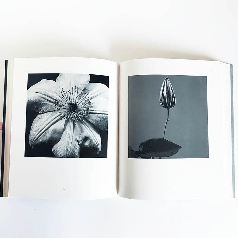 石元泰博写真集 HANA 大型本 1988年 求龍堂 Amazon.co.jp: HANA: 石元