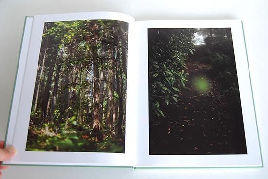 the may sun Terri Weifenbach テリ・ワイフェンバック 写真集