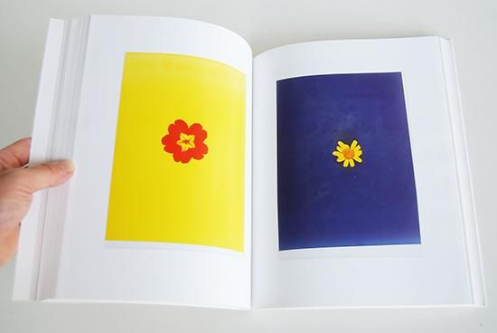 Amazon.co.jp: 絶版?? ?? Peter Sutherland 写真集 : おもちゃ