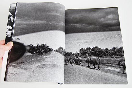 ザ・トロピクス 森山大道 写真集 THE TROPICS Daido Moriyama 署名本 signed - 古本買取 2手舎/二手舎  nitesha 写真集 アートブック 美術書 建築