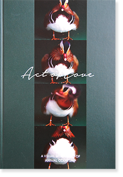 ACT OF LOVE: A VISUAL DICTIONARY OF ANIMAL COURTSHIP - 古本買取 2