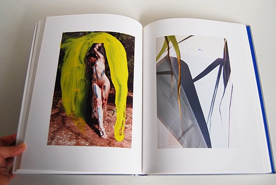 ROXANE 2 Viviane Sassen ヴィヴィアン・サッセン 写真集 - 古本買取 2