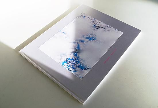 YUKI・SAKURA Risaku Suzuki 鈴木理策 写真集 - 古本買取 2手舎