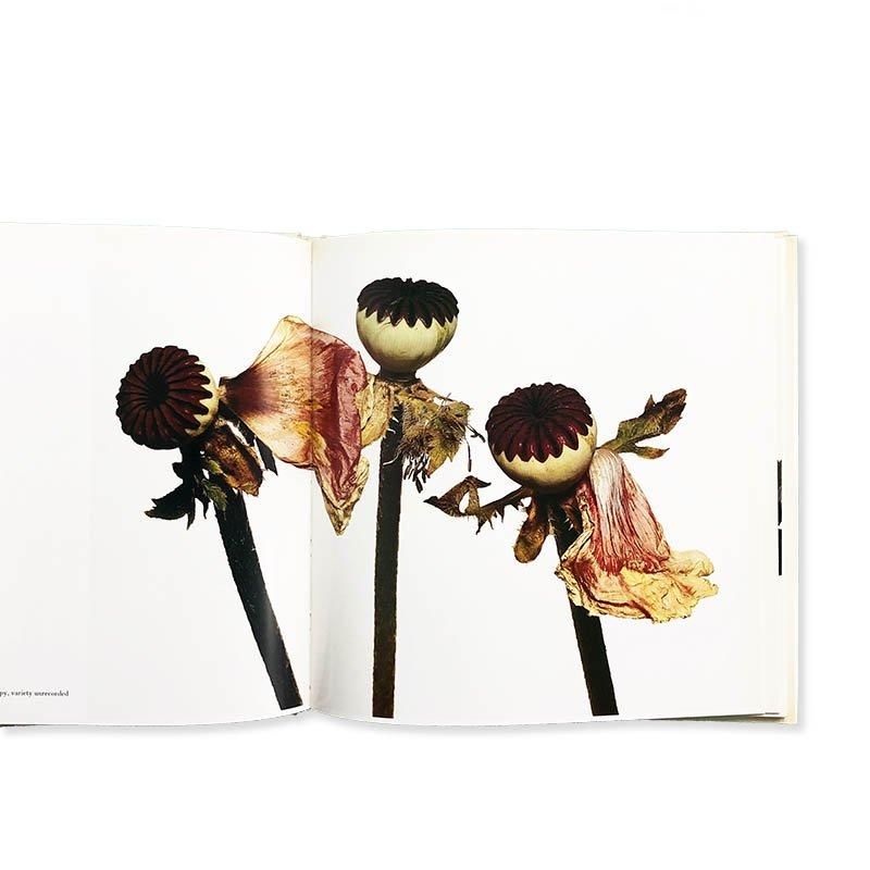 FLOWERS】Irving Penn 花の写真集 アーヴィング・ペン 洋書 フラワーズ ...