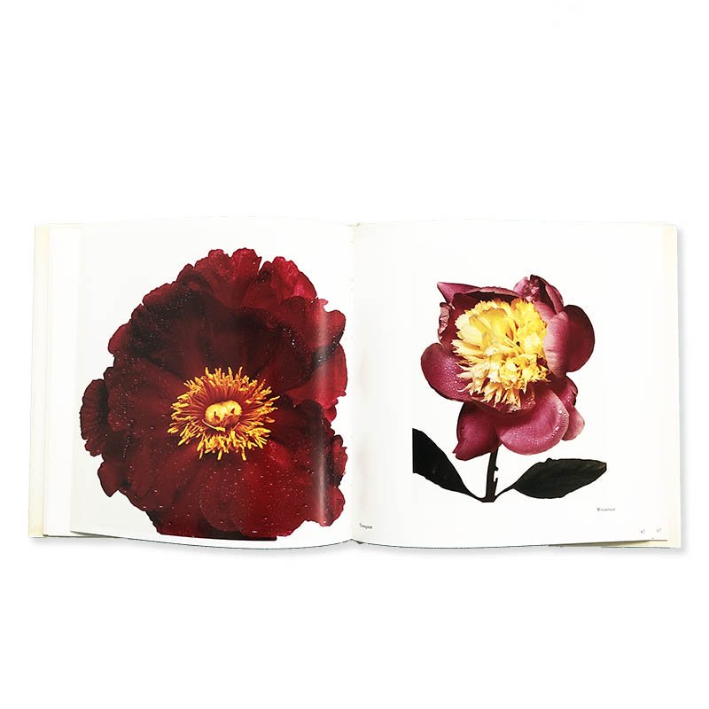 Irving Penn: FLOWERS First American Editionアーヴィング・ペン - 古本買取 2手舎/二手舎 nitesha  写真集 アートブック 美術書 建築