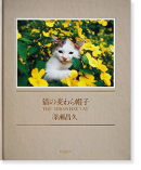 ǭ˹  ̿ THE STRAWHAT CAT Masahisa Fukase