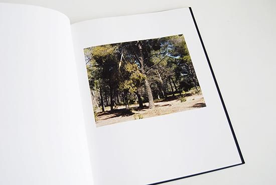 Atelier of Cezanne RISAKU SUZUKI 鈴木理策 写真集 - 古本買取 2手舎