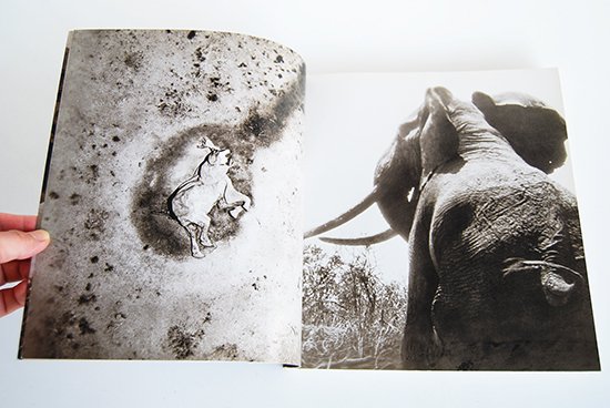 THE END OF THE GAME UK Edition PETER BEARD ピーター・ビアード 写真