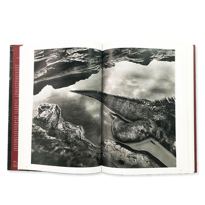 Sebastiao Salgado: GENESISセバスチャン・サルガド - 古本買取 2手舎 