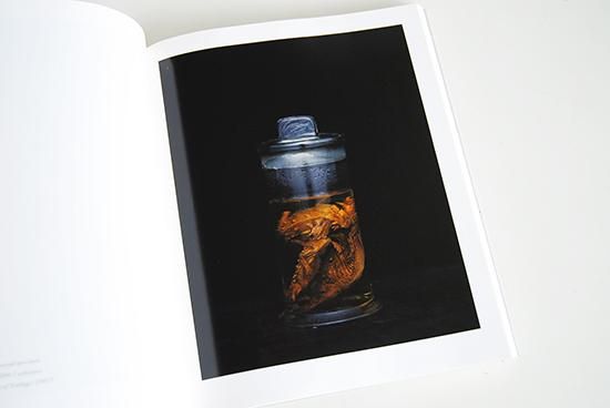 東京大学コレクション 写真家上田義彦のマニエリスム博物誌