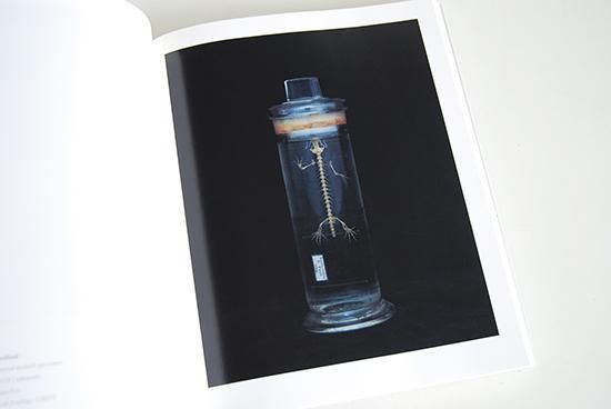 上田義彦「Chamber of Curiosities 」美品 Chamber of Curiosities -From the Collection of The