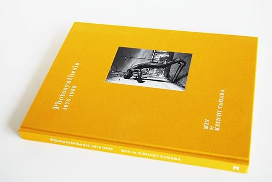 Photosynthesis 1978-1980 MIN by KEIICHI TAHARA 田原桂一 写真