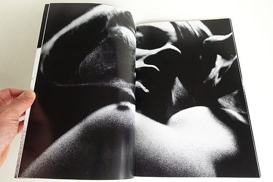 VISIONARY VISION OF SANNE SANNES サンネ・サンネス 写真集 - 古本 