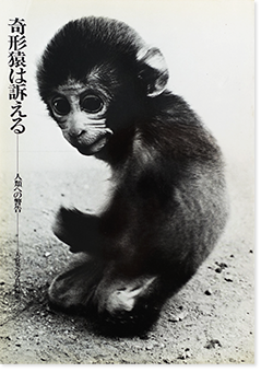 ʤ ؤηٹ ëǷ ̿Ͽ Deformed monkey appeals by HIDEYUKI OTANI