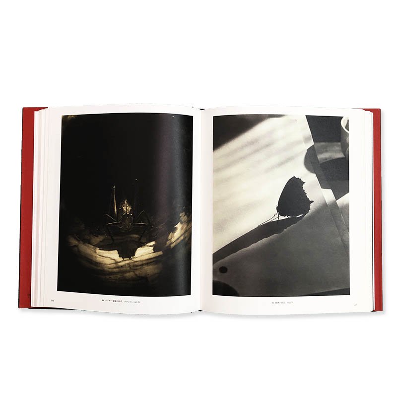 Edward Steichen: Lives in Photographyエドワード・スタイケン 写真 