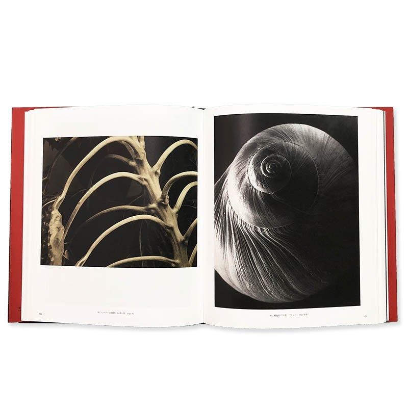 エドワード・スタイケン写真集成 - 古本買取販売 ハモニカ古書店