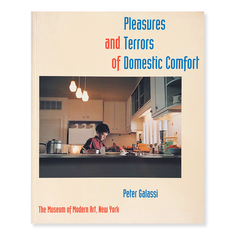 Peter Galassi: Pleasures and Terrors of Domestic Comfort