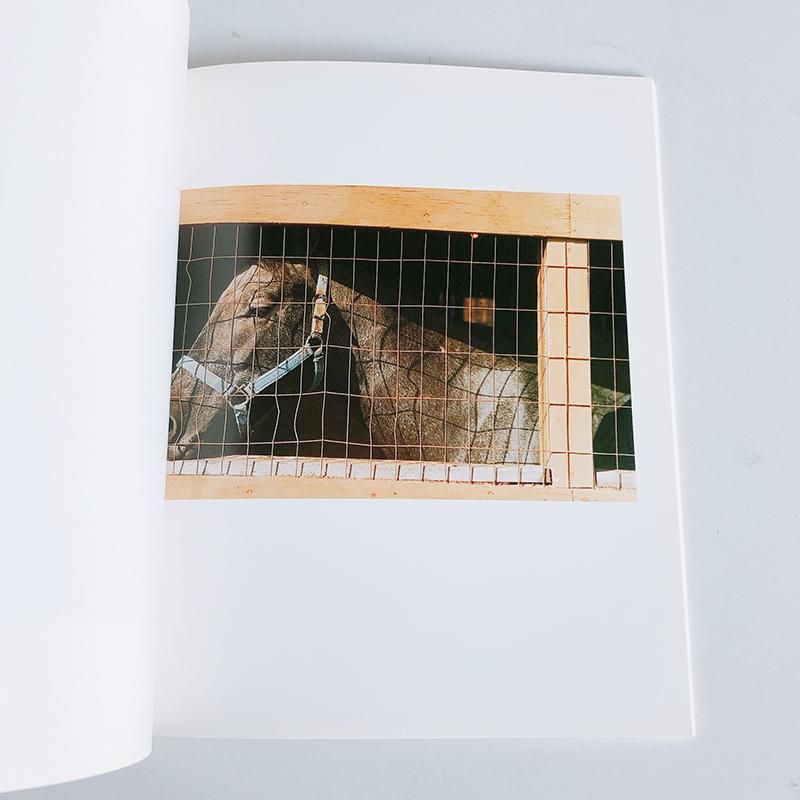 William Eggleston 写真集　Horses and Dogs William Eggleston: Horses and Dogs アメリカの写真家 William