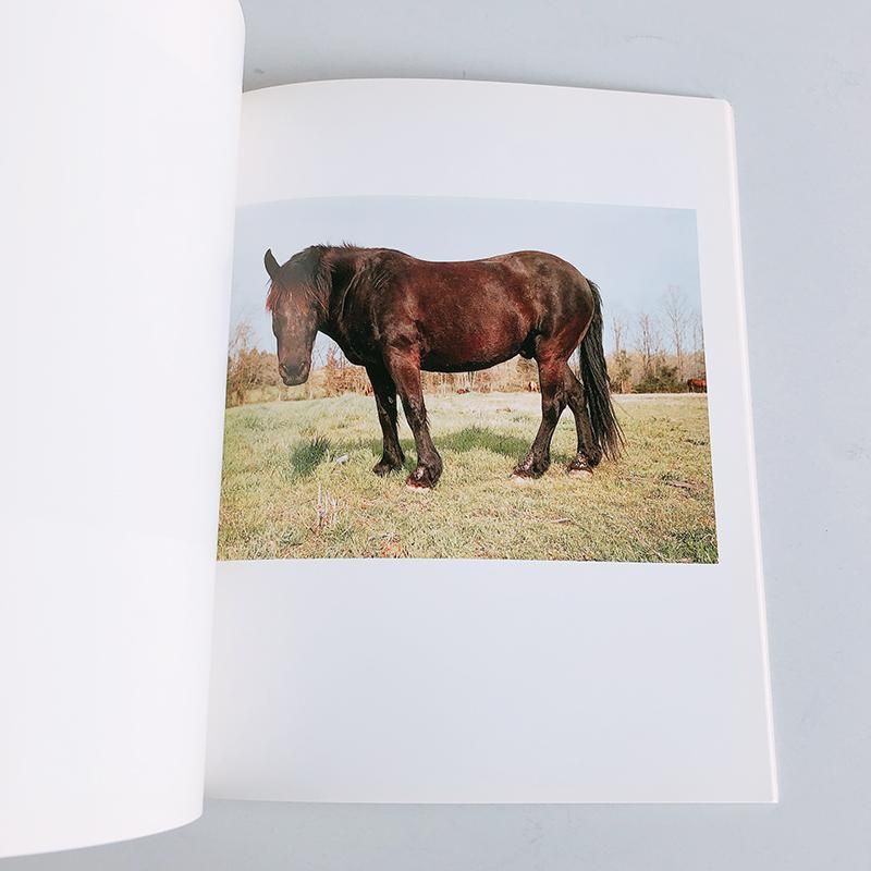 William Eggleston 写真集　Horses and Dogs Horses and Dogs - William Eggleston • Micamera Bookstore