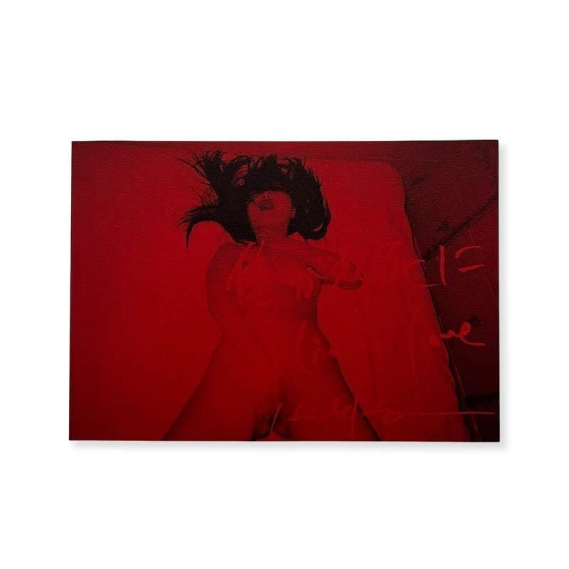 Hideka Tonomura: die of love<br>�Ǥ����� ��¼Ǥ��