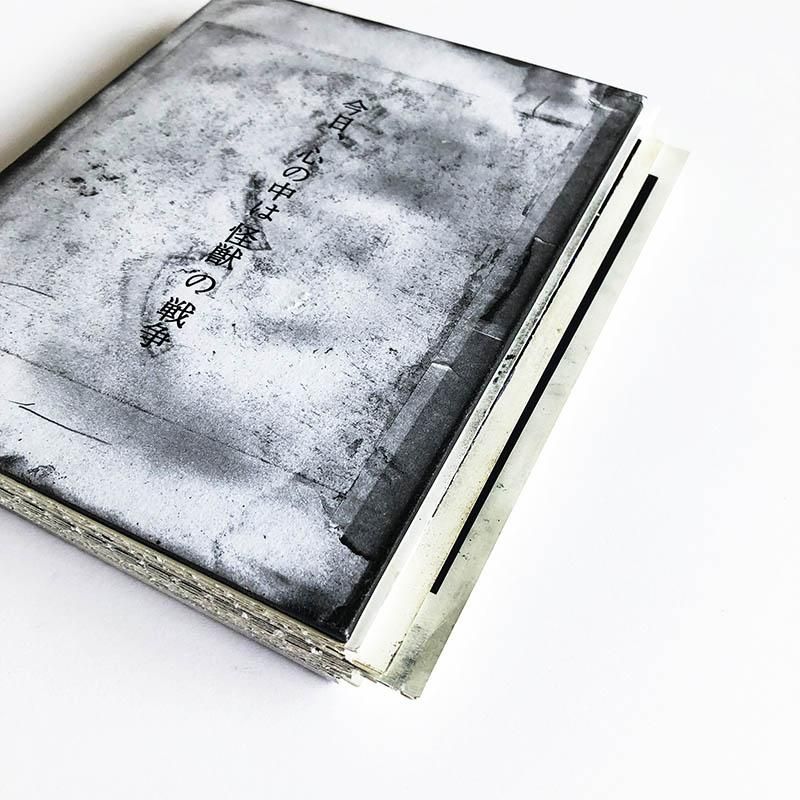 写真集　秦雅則 今日、心の中は怪獣の戦争 Today, the war of kaiju in my heart by Masanori Hata今日、心の中は