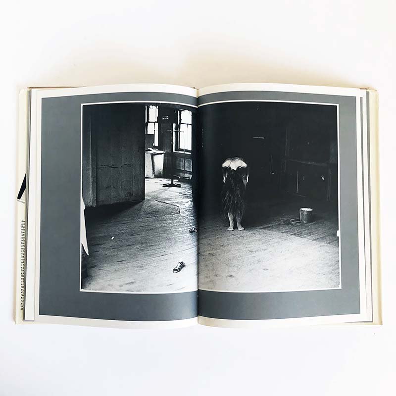 WALLFLOWER by Deborah Turbevilleデボラ・ターバヴィル - 古本買取 2手舎/二手舎 nitesha 写真集  アートブック 美術書 建築