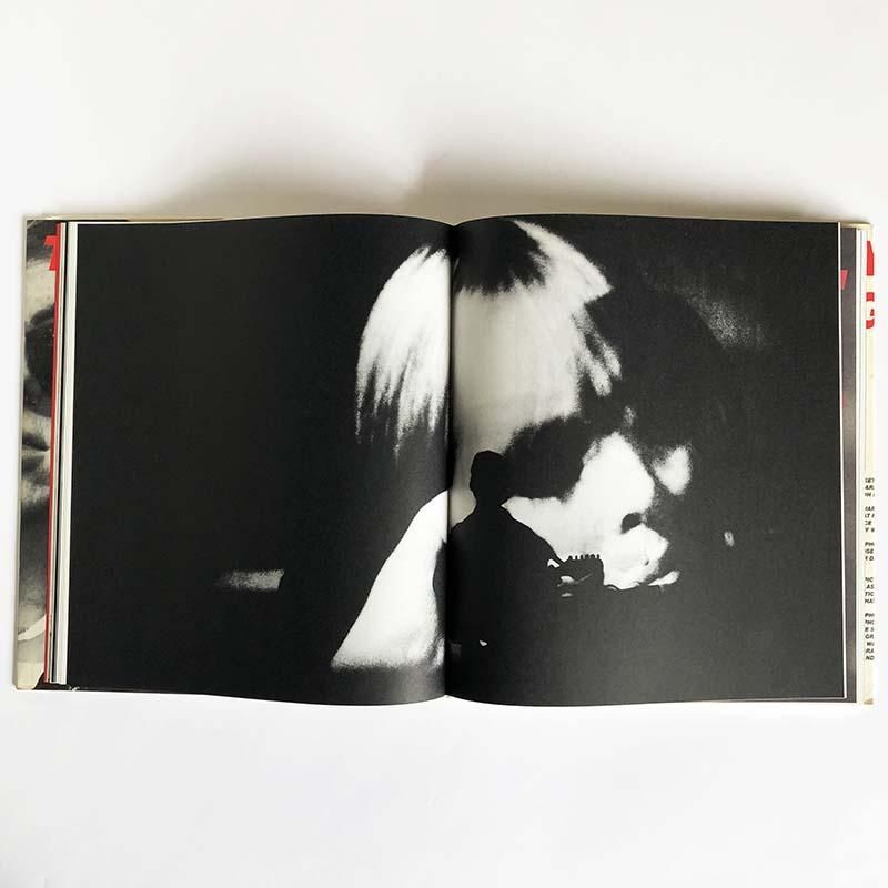 ANDY WARHOL: THE FACTORY YEARS 1964-1967 by NAT FINKELSTEIN