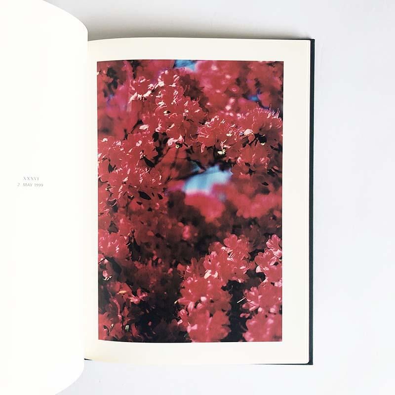 2000部限定写真集Terri Weifenbach Hunter Green