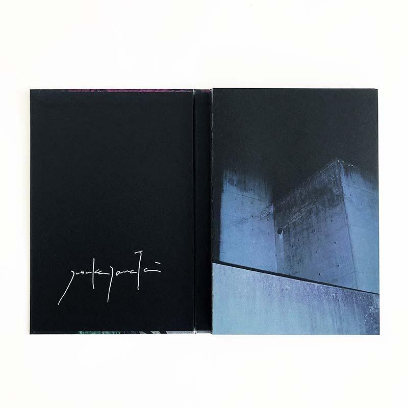 Yusuke Yamatani: Into the Light *special edition山谷佑介 *特