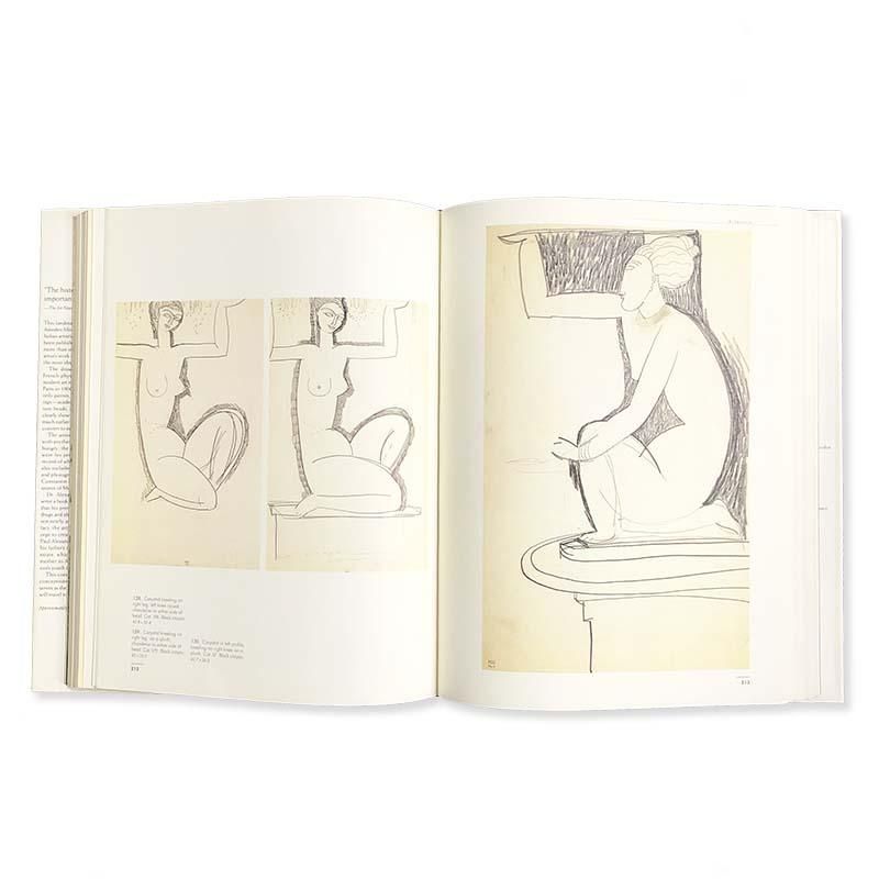 THE UNKNOWN MODIGLIANI: Drawings from the Collection of Paul