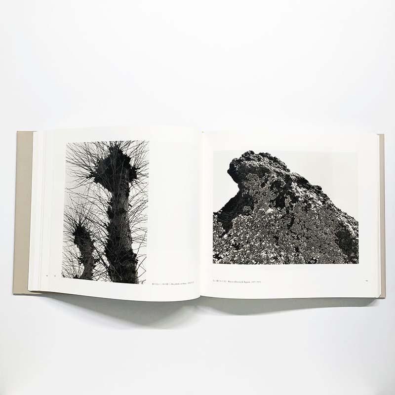 Manuel Alvarez Bravo: PHOTOPOETRYマヌエル・アルバレス