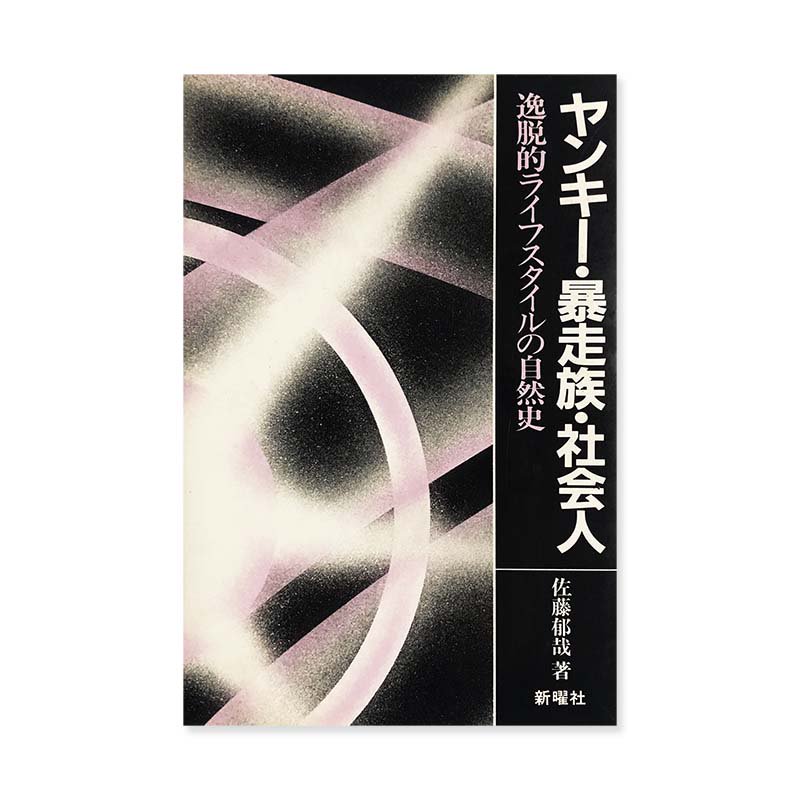 ヤンキー・暴走族・社会人 逸脱的ライフスタイルの自然史 佐藤郁哉