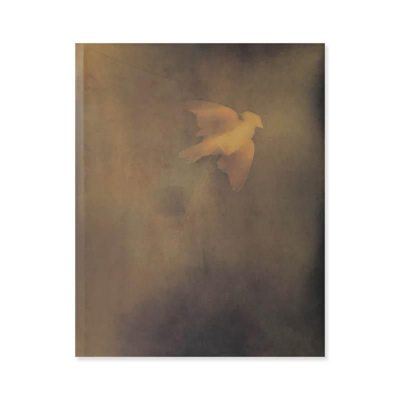 アダム・フス写真集「ADAM FUSS: 1988-1997」 ADAM FUSS: 1988-1997アダム・フス - 古本買取 2手舎/二手舎