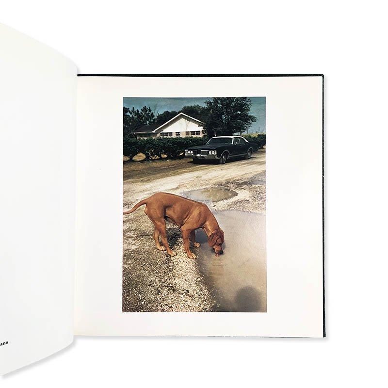 【新品】William Eggleston's Guide / エグルストン William Eggleston 2 1/4 | ウィリアム・エグルストン写真集
