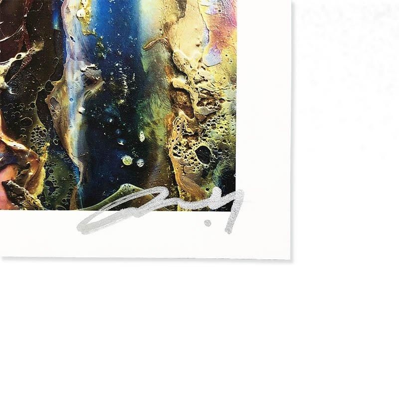 Daisuke Yokota: Alluvion *signed横田大輔 *署名本 - 古本買取