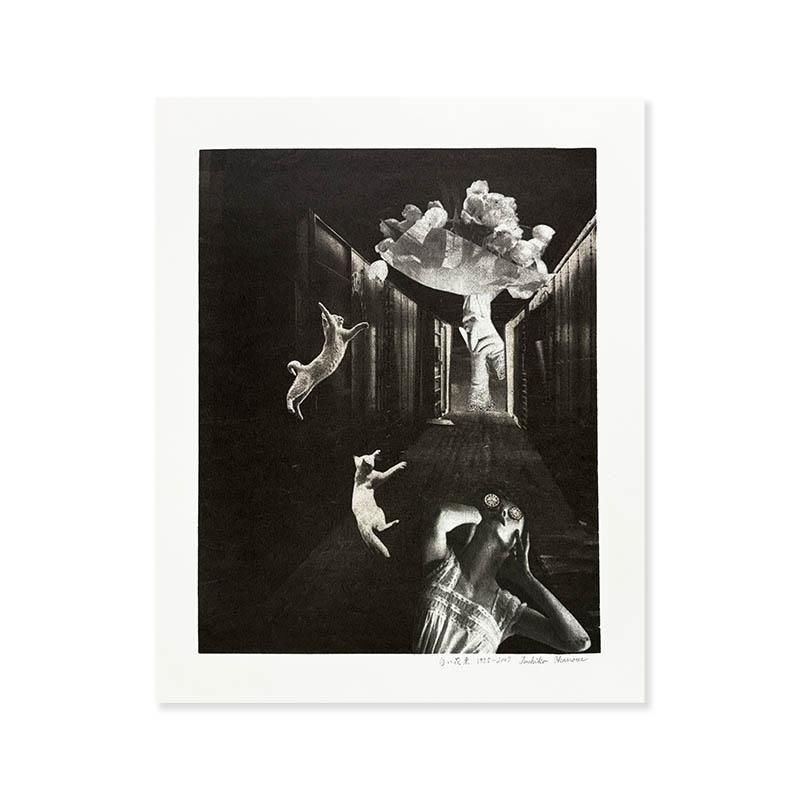 Toshiko Okanoue: original print White Bouquet*signed<br>򤤲« ʻ ꥸʥץ *̾